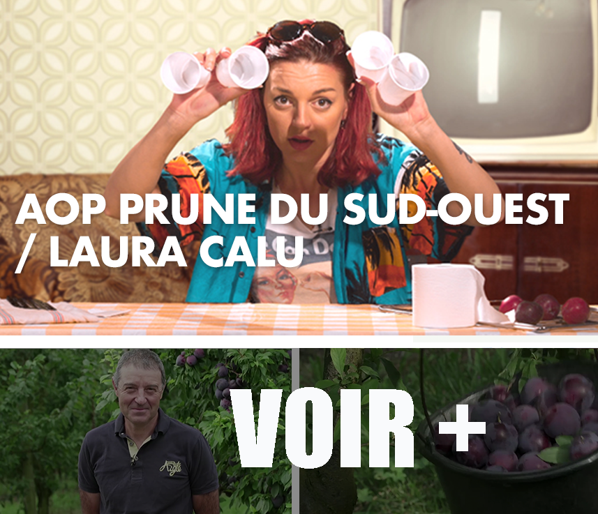 tournage pas cher film institutionnel pas cher video reseaux sociaux