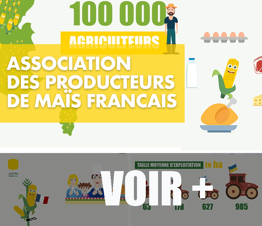 vidéo motion design pas cher film vidéo animée low cost